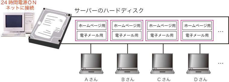 net2.jpg