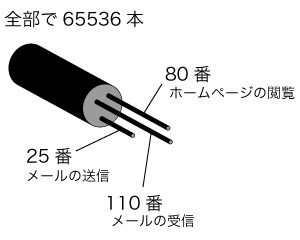 net6.jpg